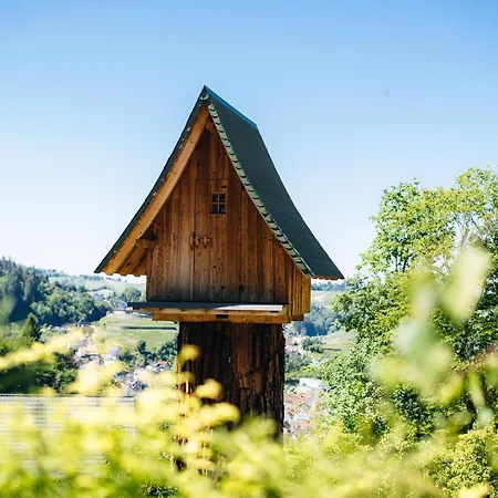 Apartamento Bassler Schlossblick
