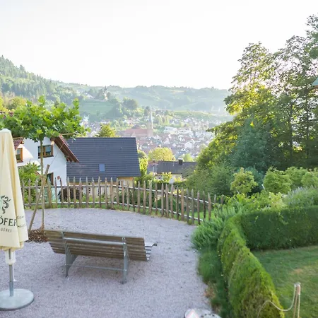 Bassler Schlossblick Kappelrodeck