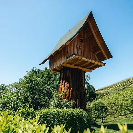 Bassler Schlossblick